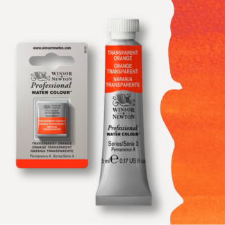 WINSOR & NEWTON colori Acquerello Professional WaterColour