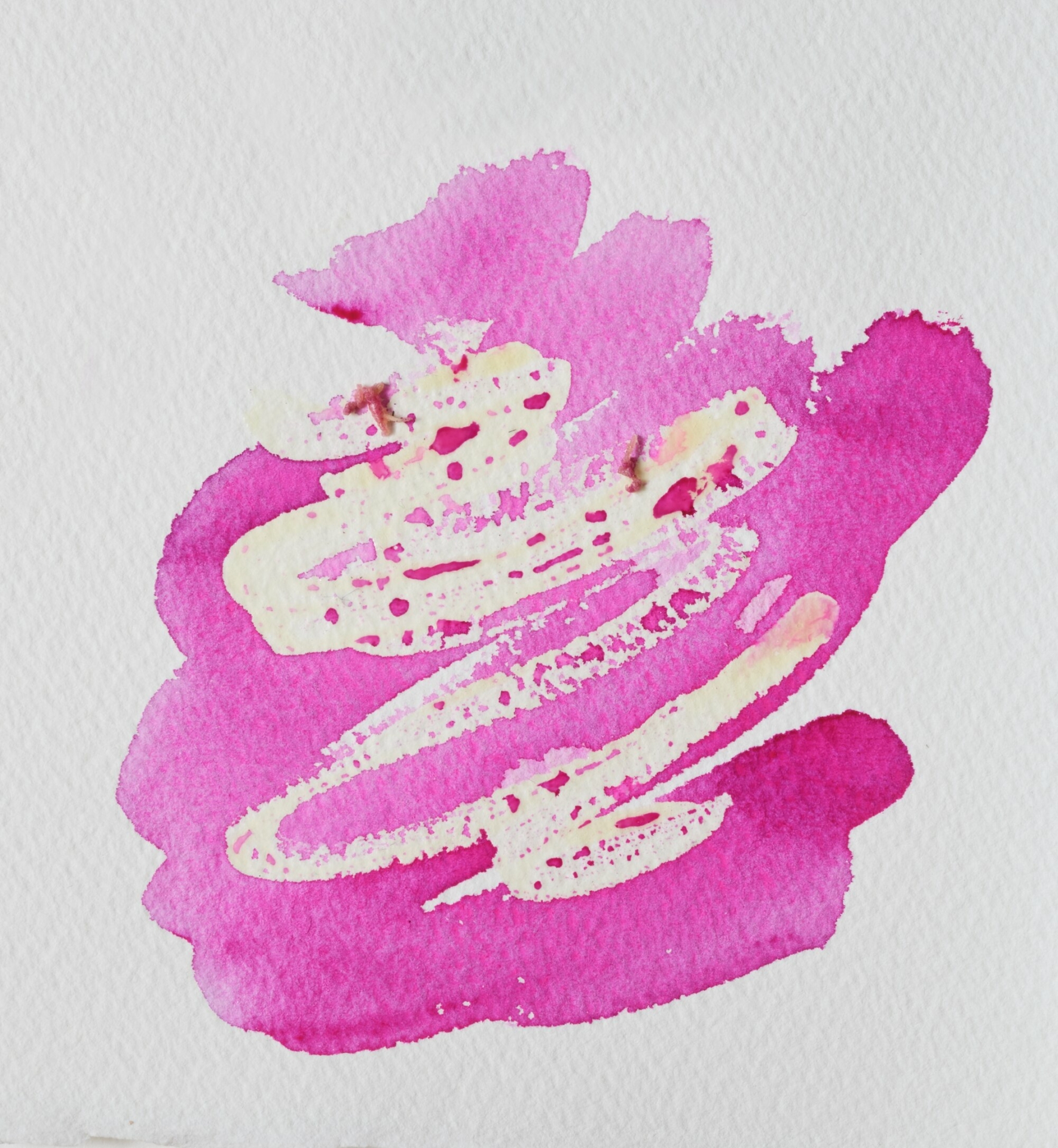 WINSOR & NEWTON Fluido Colorato per Mascheratura - immagine 3