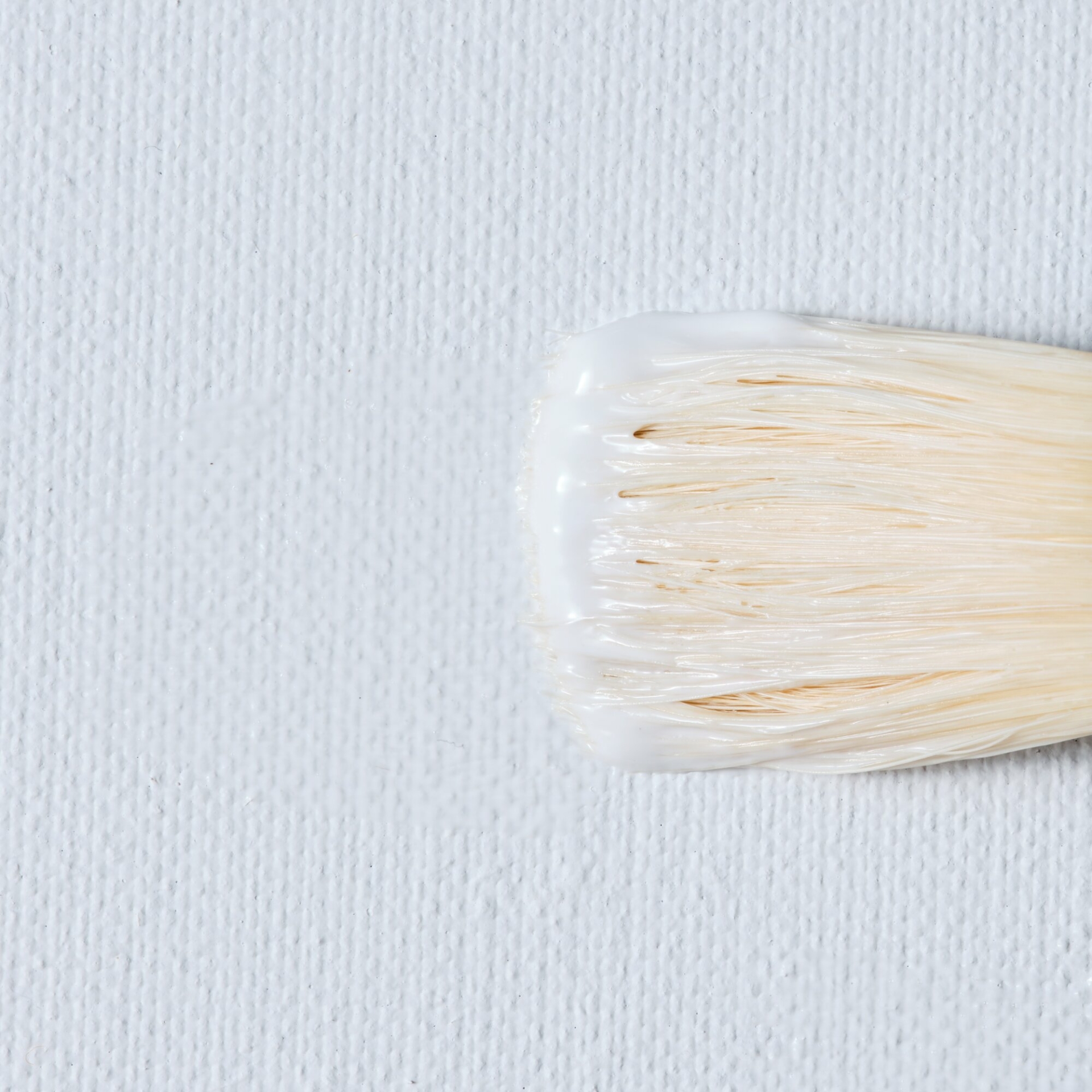 WINSOR & NEWTON Primer per Colori a Olio - immagine 2