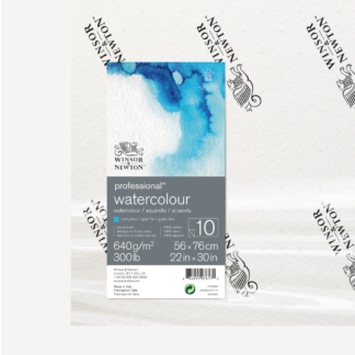 WINSOR & NEWTON Foglio Professional per acquerello grana FINE 640grWINSOR & NEWTON Foglio Professional per acquerello grana FINE 640gr