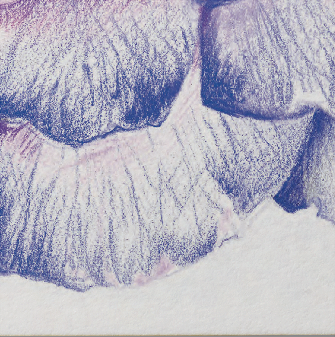 WINSOR & NEWTON Fogli per Disegno 50x65cm 200g - immagine 3