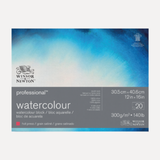 WINSOR & NEWTON Blocco Professional per acquerello grana SATINATA 300grWINSOR & NEWTON Blocco Professional per acquerello grana SATINATA 300gr