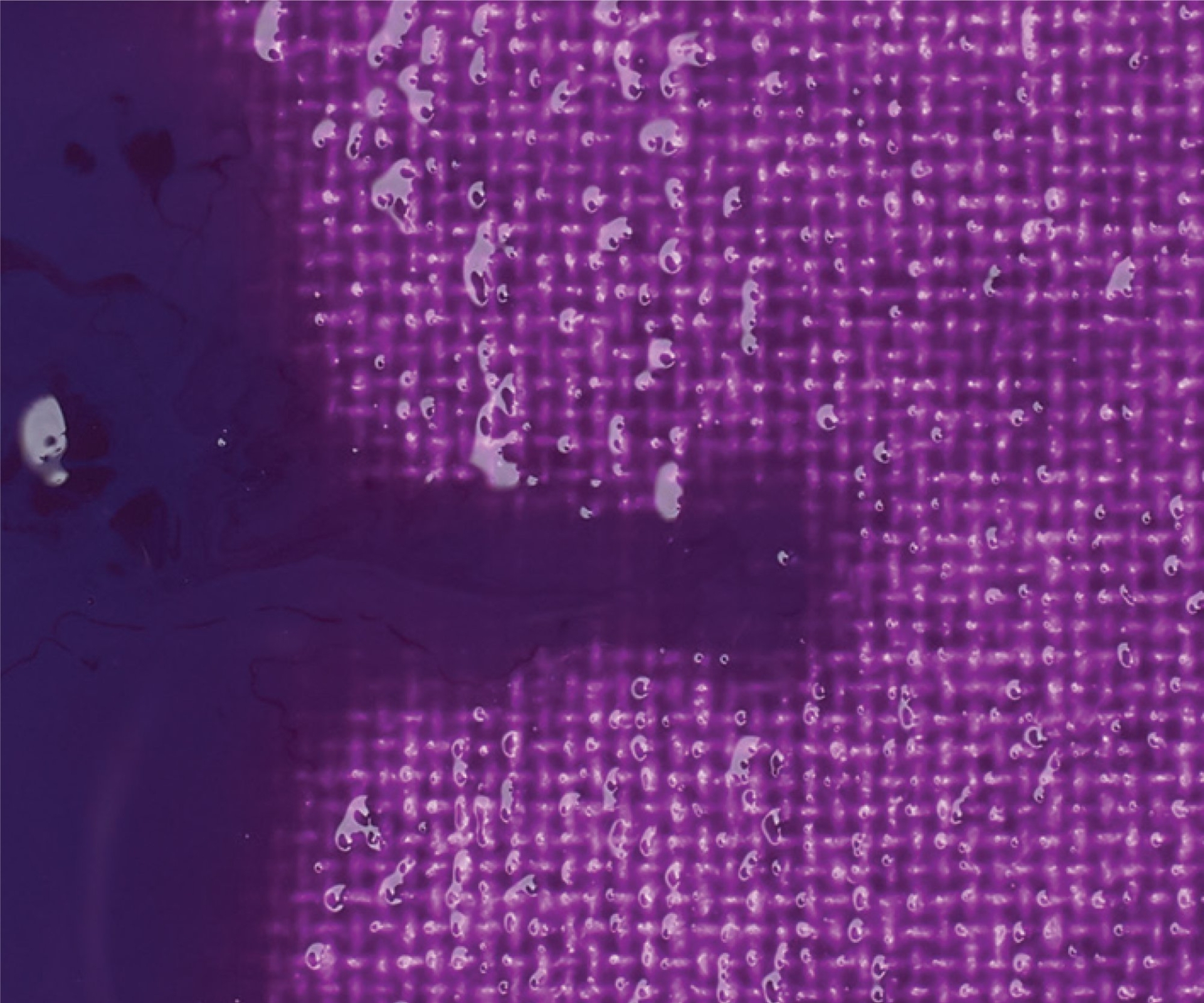 LIQUITEX Professional Slow Dry Additivo Ritardante - immagine 3